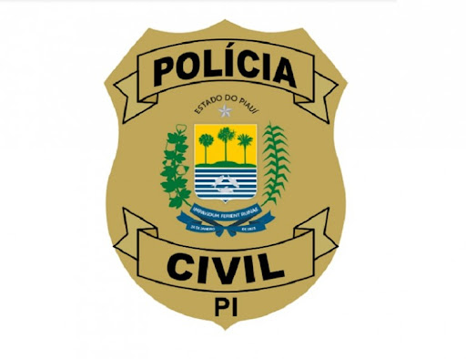 Curso - Conhecimentos Gerais para Escrivão da PC PI